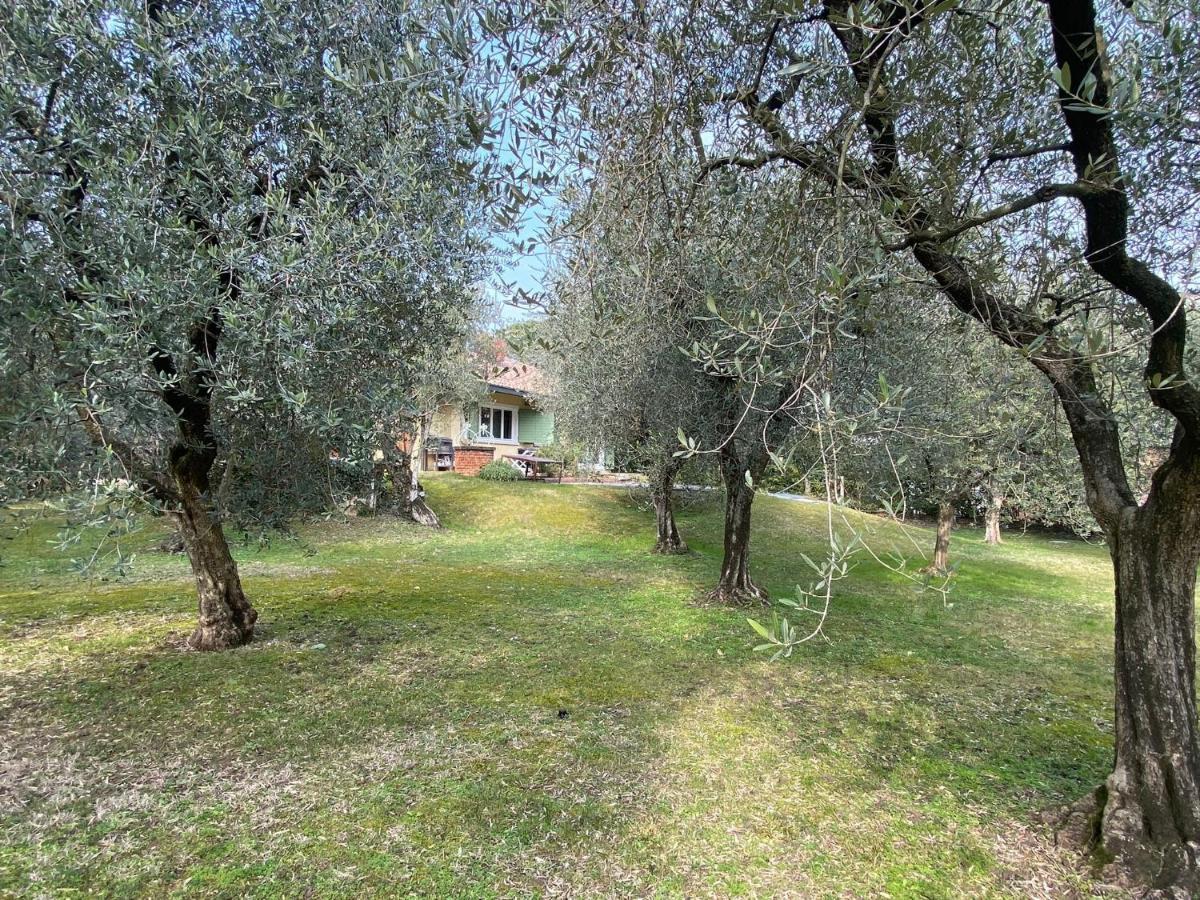Villa Sweet Flower - With Private Pool And Garden Manerba del Garda Eksteriør bilde